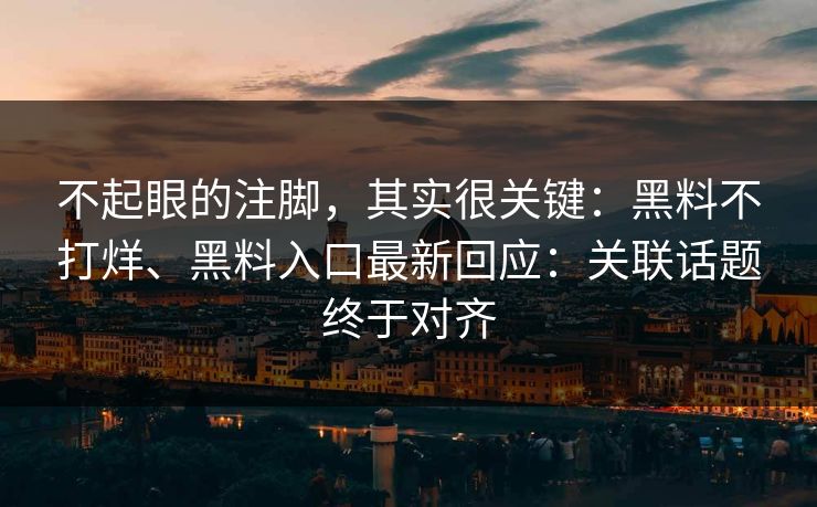 不起眼的注脚，其实很关键：黑料不打烊、黑料入口最新回应：关联话题终于对齐