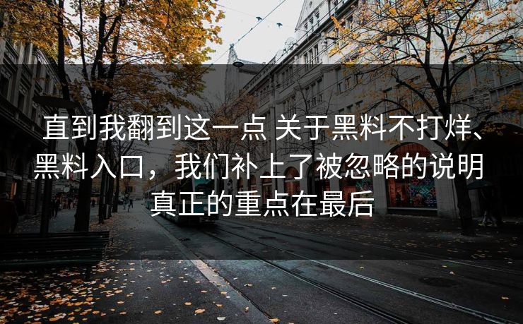直到我翻到这一点 关于黑料不打烊、黑料入口，我们补上了被忽略的说明 真正的重点在最后