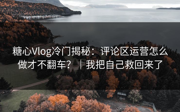 糖心Vlog冷门揭秘：评论区运营怎么做才不翻车？｜我把自己救回来了