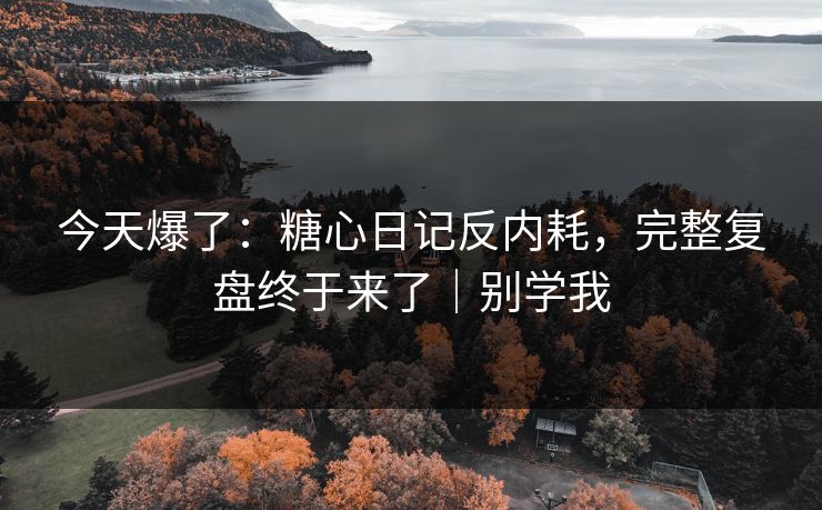 今天爆了：糖心日记反内耗，完整复盘终于来了｜别学我