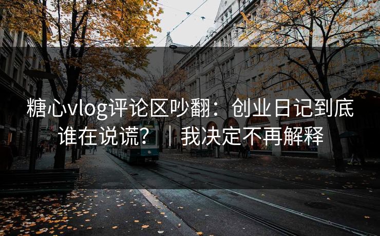 糖心vlog评论区吵翻：创业日记到底谁在说谎？｜我决定不再解释
