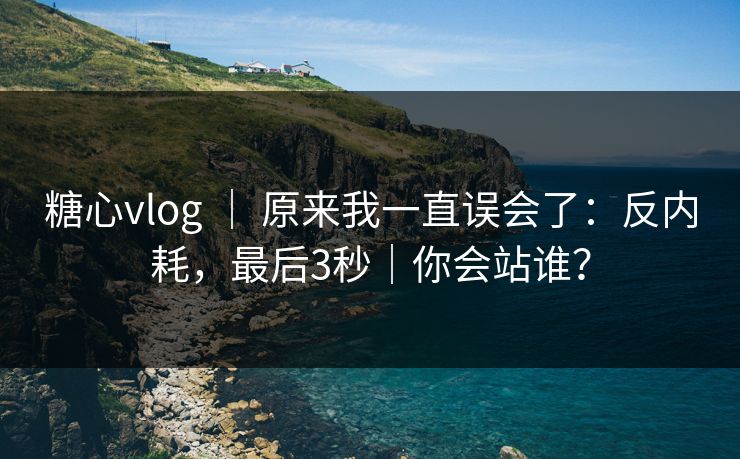 糖心vlog ｜ 原来我一直误会了：反内耗，最后3秒｜你会站谁？
