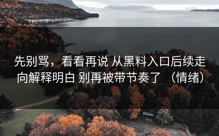 先别骂，看看再说 从黑料入口后续走向解释明白 别再被带节奏了 （情绪）