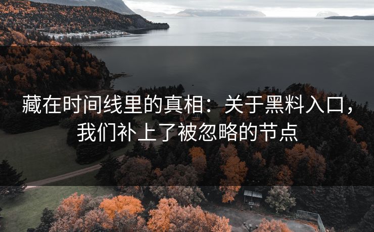 藏在时间线里的真相：关于黑料入口，我们补上了被忽略的节点