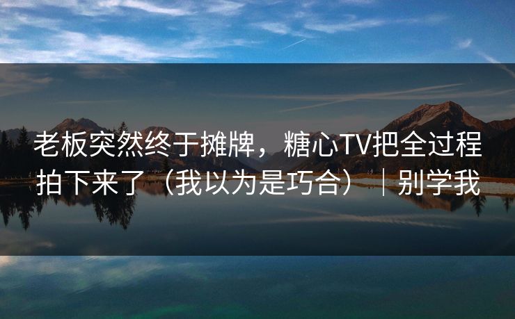老板突然终于摊牌，糖心TV把全过程拍下来了（我以为是巧合）｜别学我